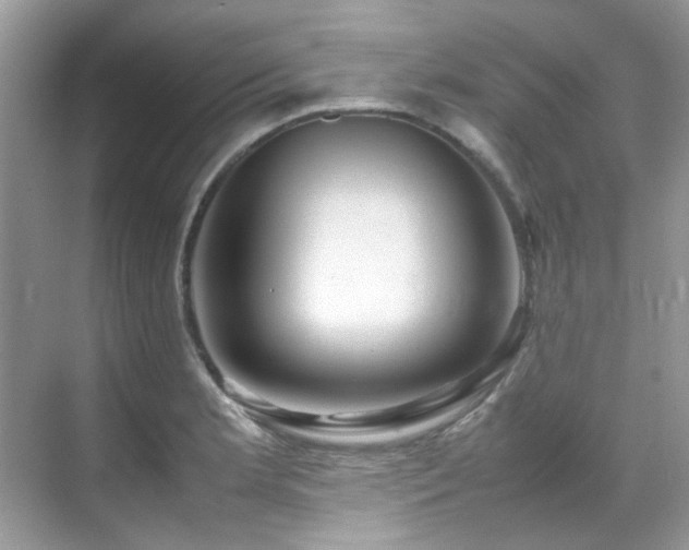 X0000070411181200606121322