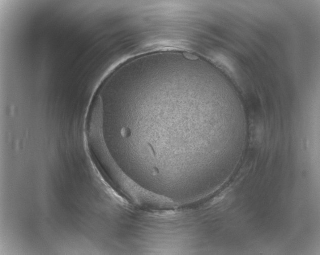 X0000070411182200606121322