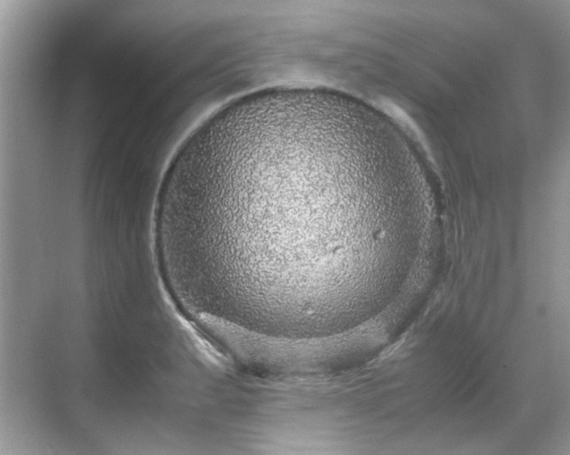 X0000070411183200606121322