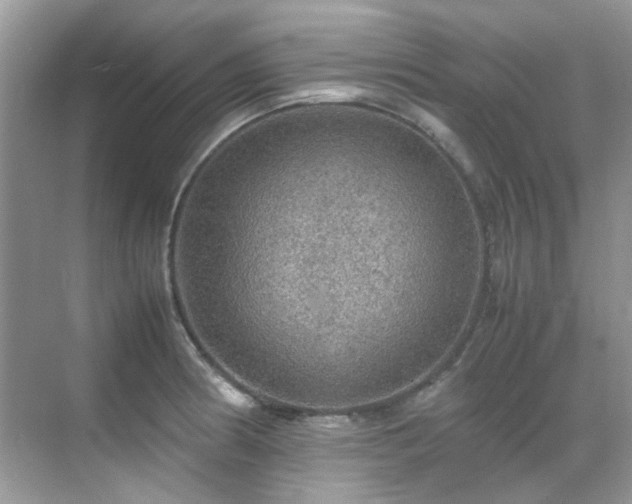 X0000070411186200606121322