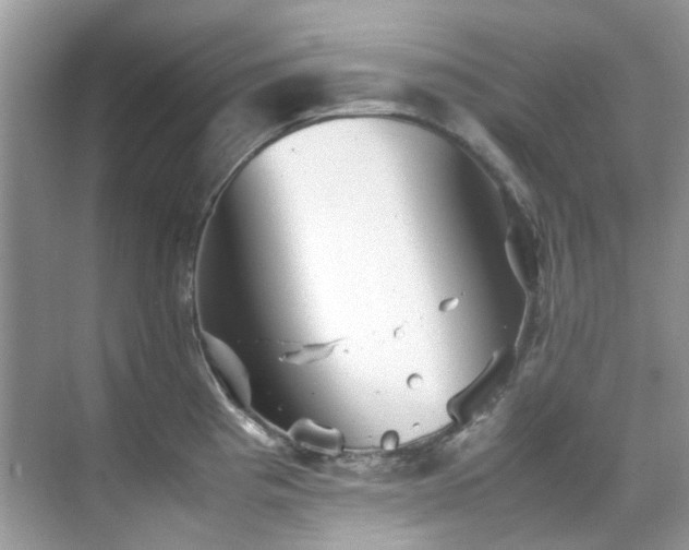 X0000070411193200606121322