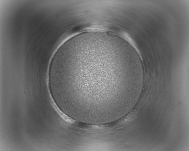 X0000070411195200606121322