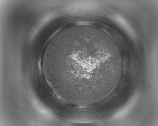 X0000070411198200606121321