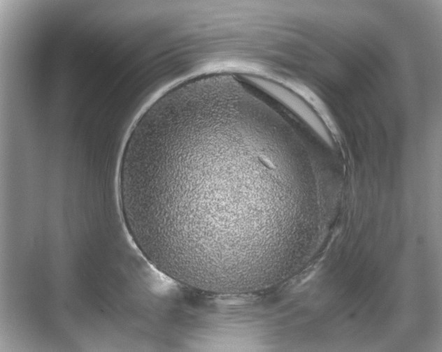 X0000070411199200606121321