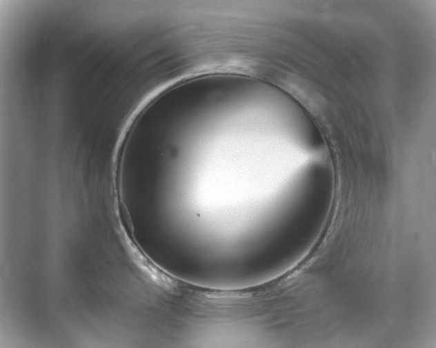 X0000070411200200606121321