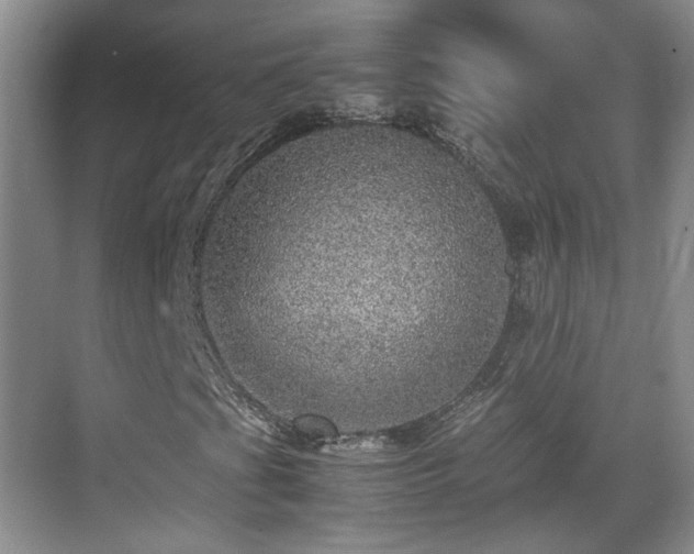 X0000070411201200606121321