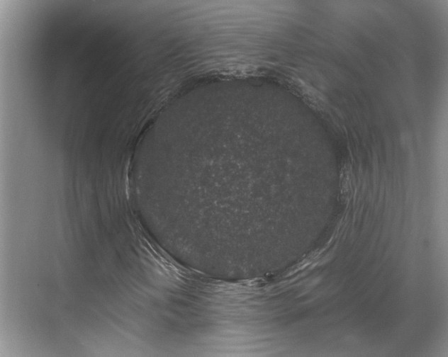 X0000070411202200606121321