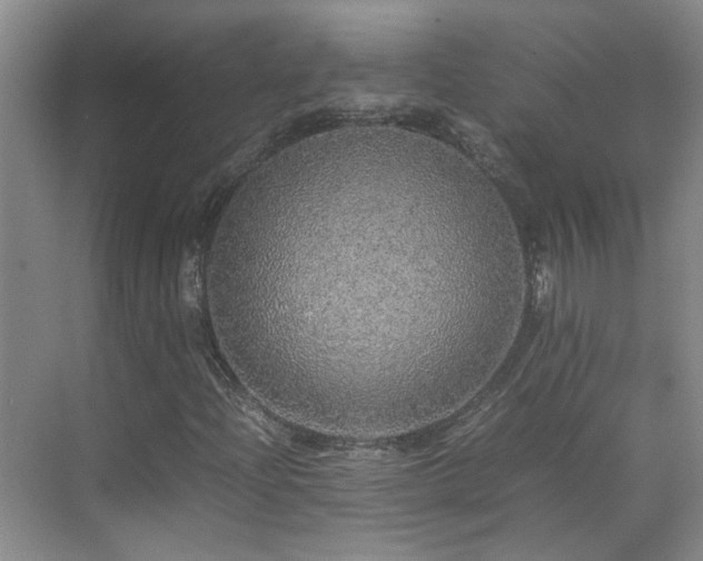 X0000070411204200606121321