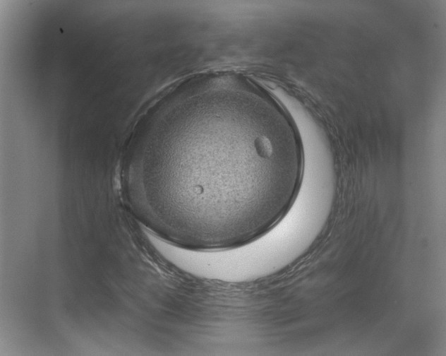 X0000070411206200606121321