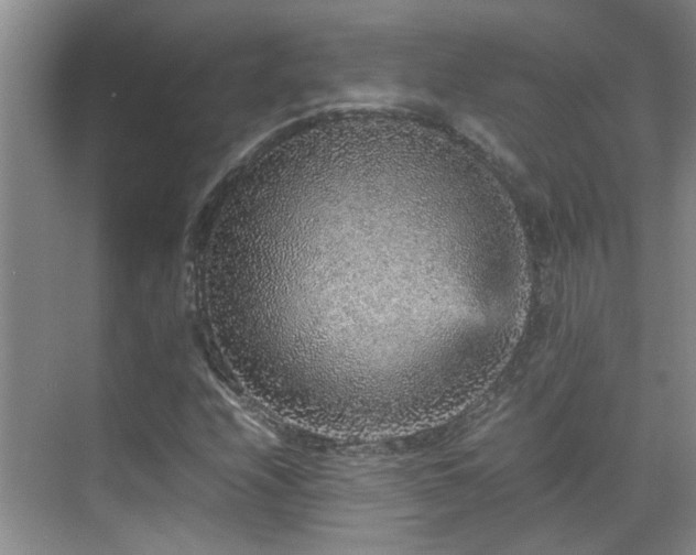 X0000070411208200606121321