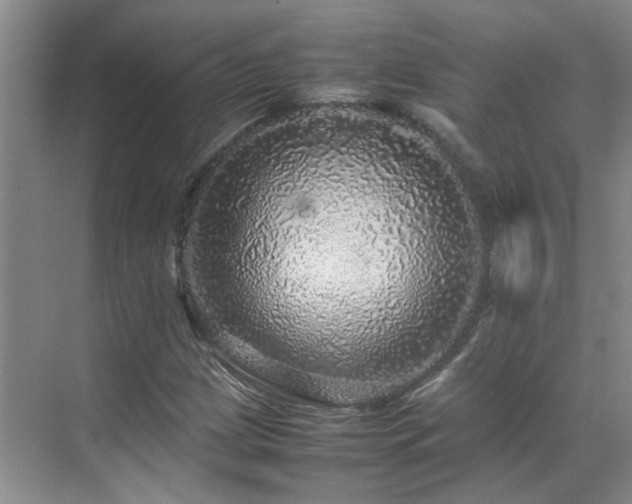 X0000070411209200606121321