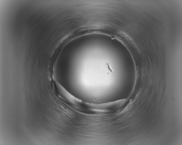 X0000070411210200606121321