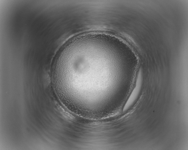 X0000070411212200606121321