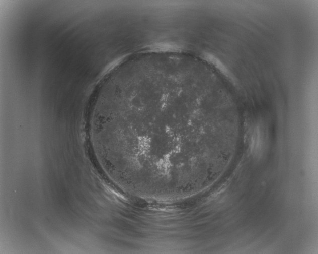 X0000070411213200606121321