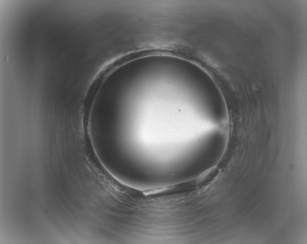 X0000070411214200606121321