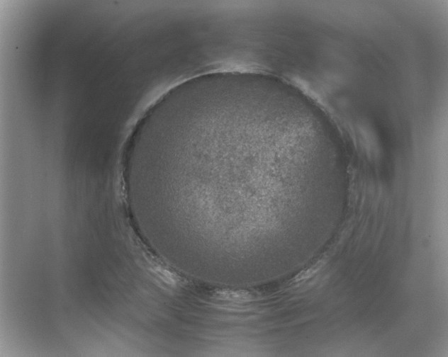 X0000070411215200606121321