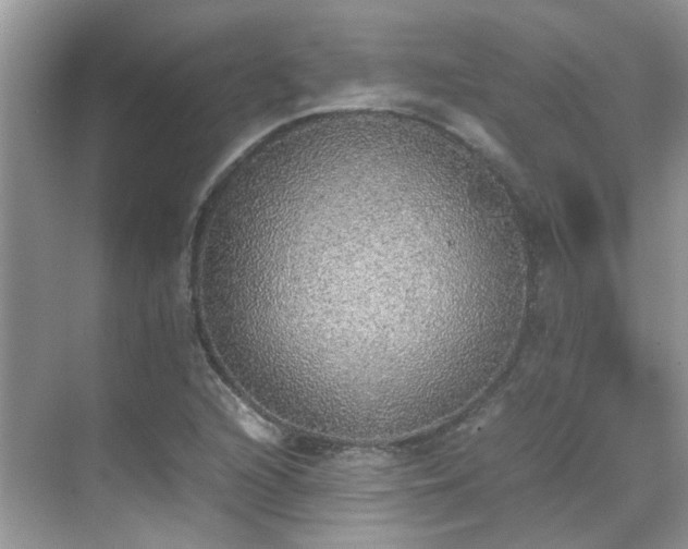 X0000070411216200606121321