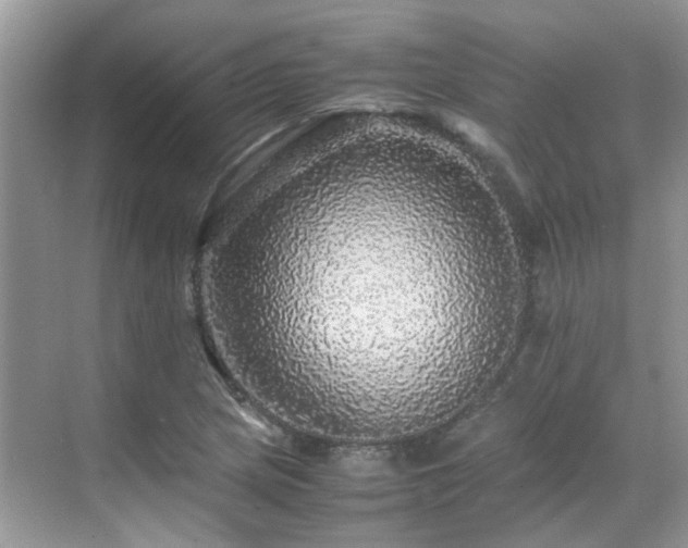 X0000070411217200606121321