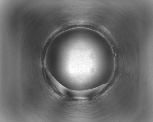 X0000070411218200606121321