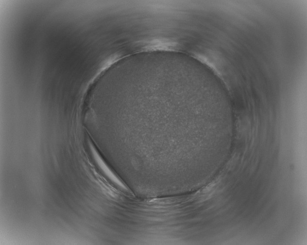 X0000070411219200606121321