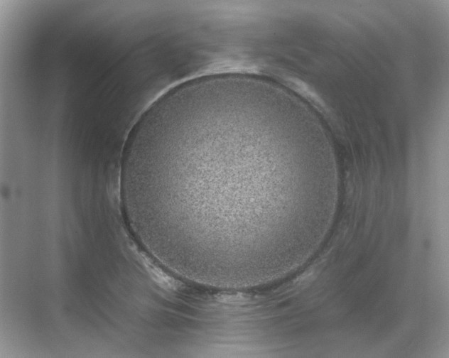 X0000070411220200606121321