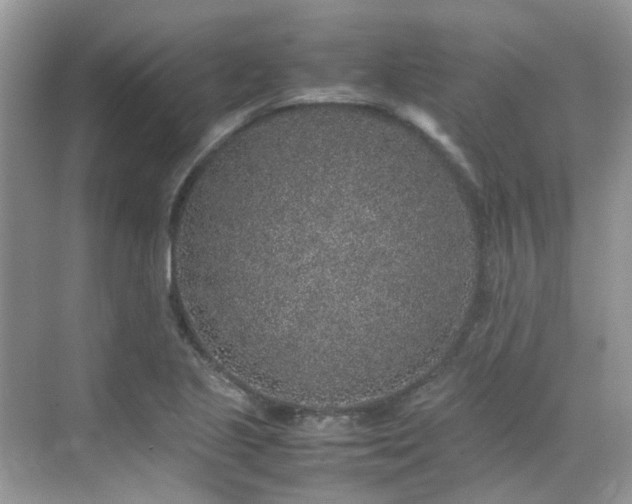 X0000070411221200606121321