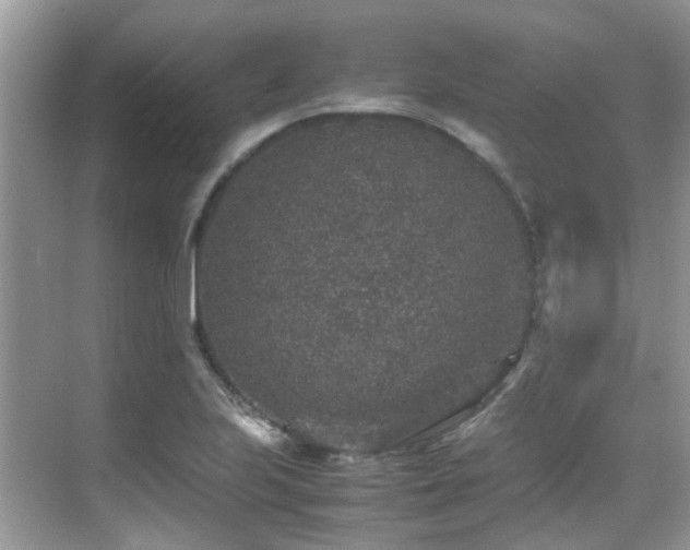 X0000070411223200606121321