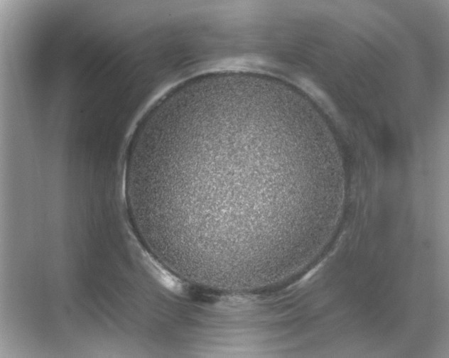 X0000070411224200606121321