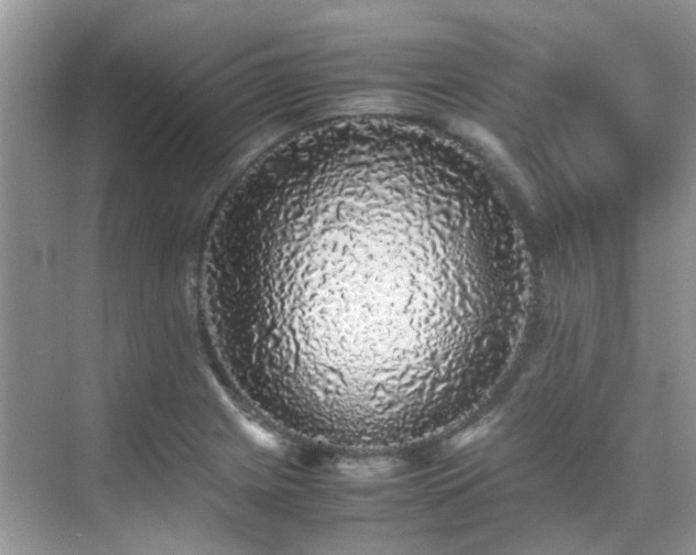 X0000070411225200606121321