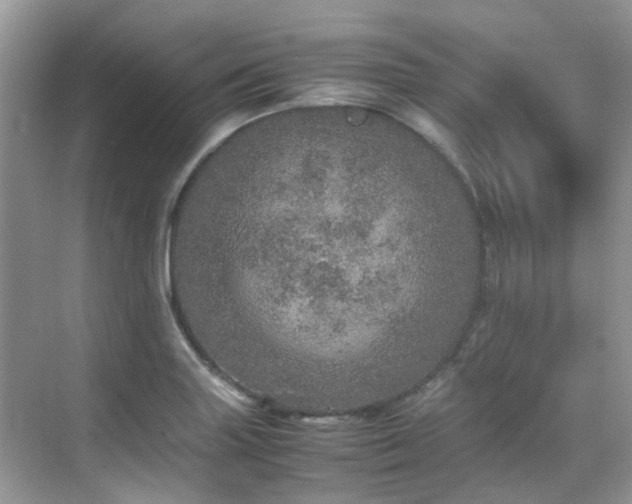 X0000070411227200606121321