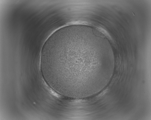 X0000070411228200606121321