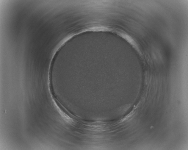 X0000070411229200606121321