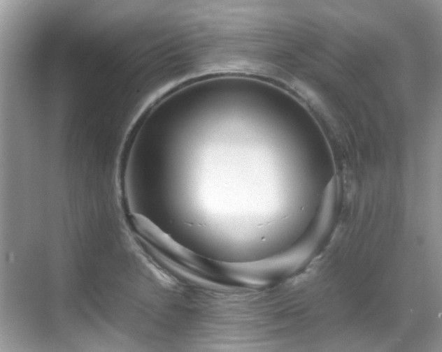 X0000070411230200606121321