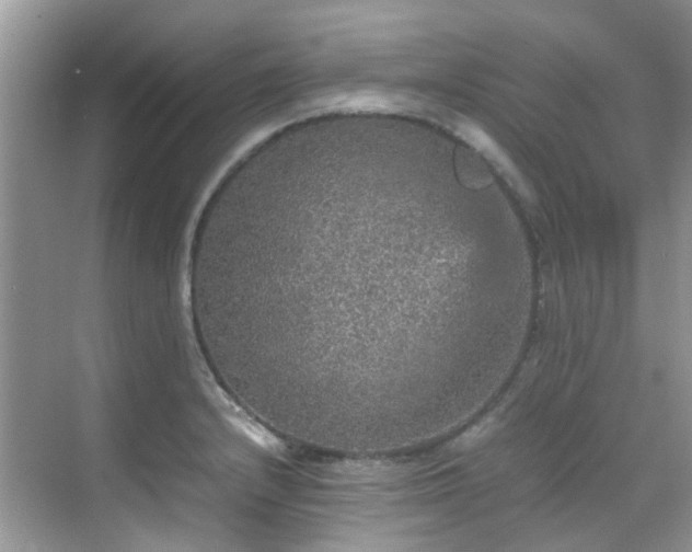 X0000070411232200606121321