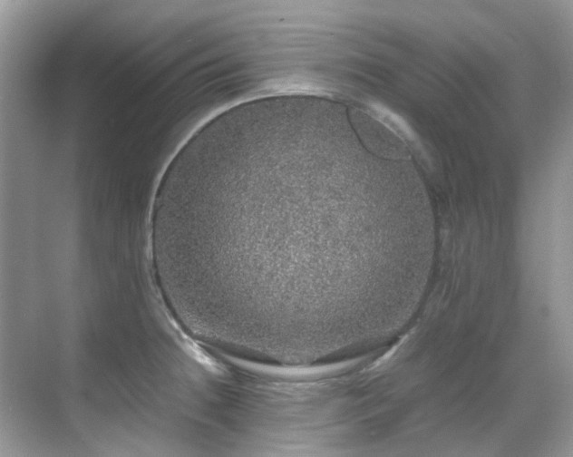 X0000070411236200606121321