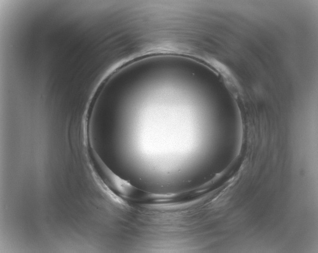 X0000070411238200606121321