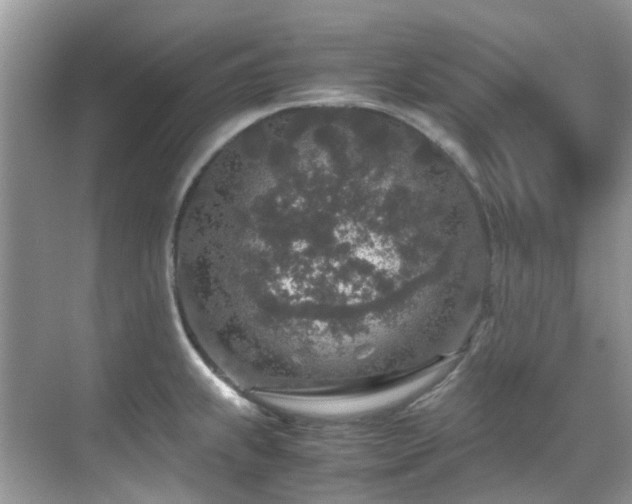 X0000070411239200606121321