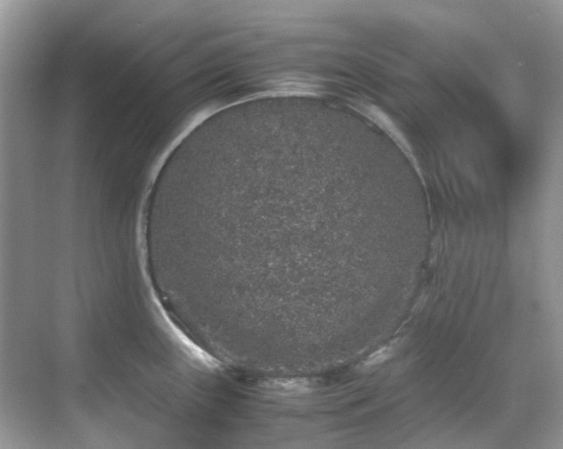 X0000070411243200606121321