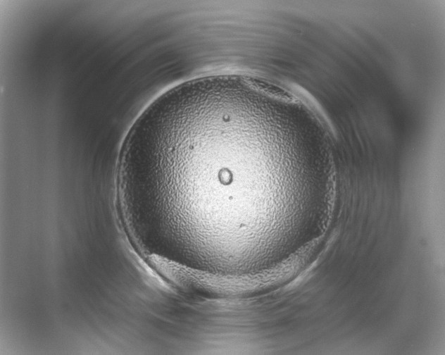 X0000070411244200606121321