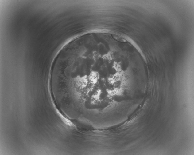 X0000070411245200606121321