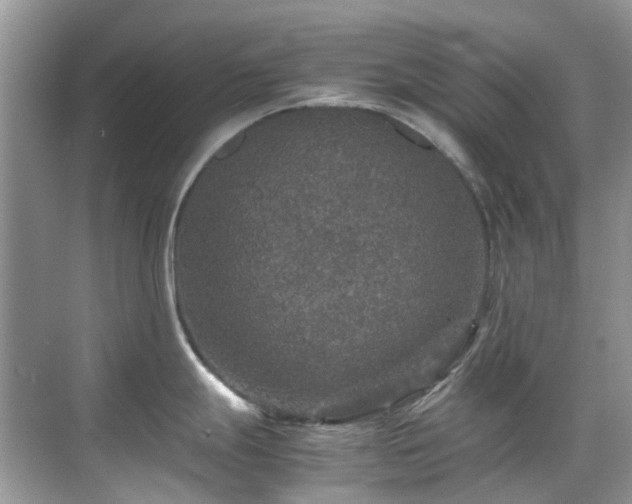 X0000070411247200606121321