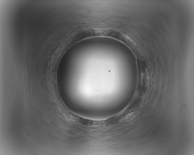 X0000070411249200606121321