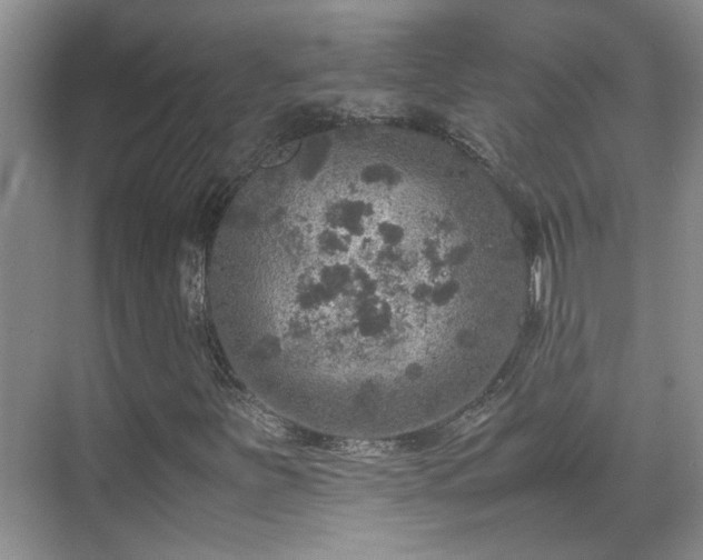 X0000070411251200606121321