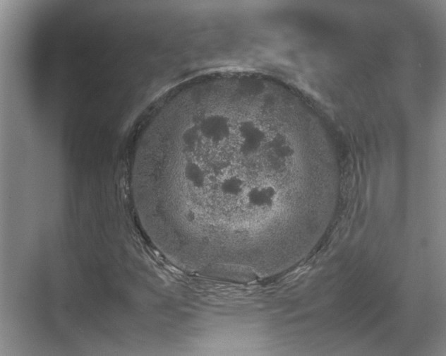 X0000070411255200606121321