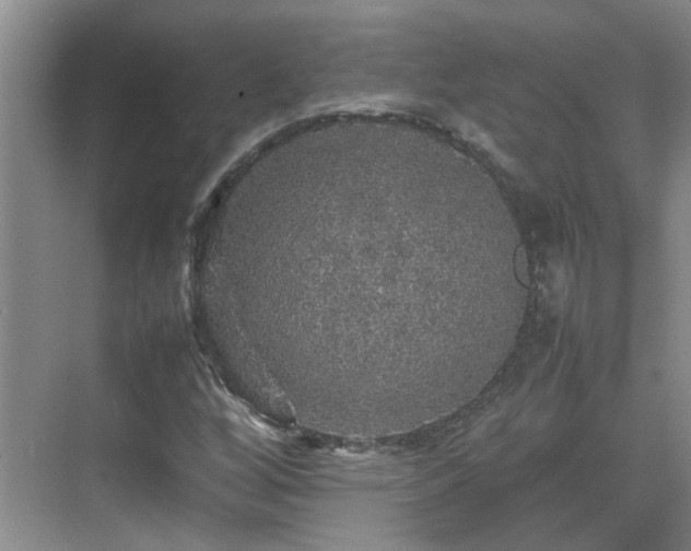 X0000070411256200606121321