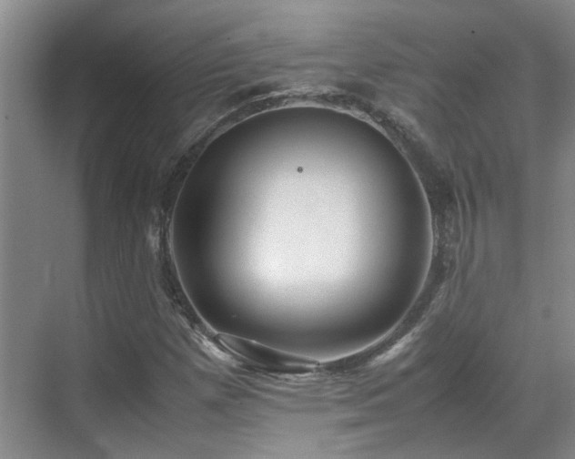 X0000070411257200606121320