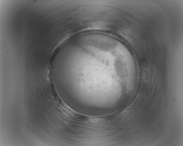 X0000070411258200606121320