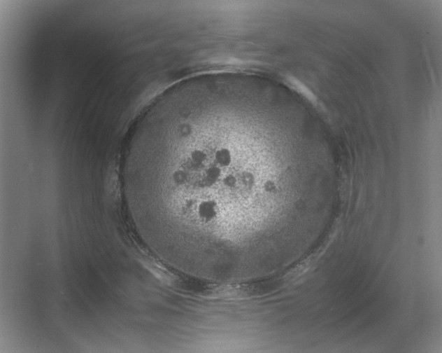 X0000070411259200606121320