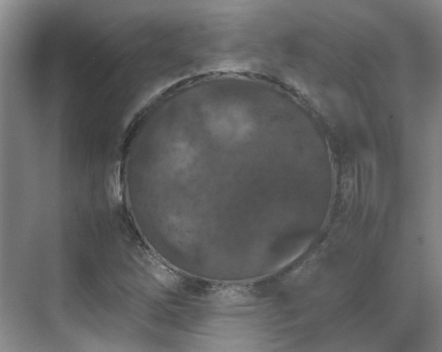 X0000070411262200606121320