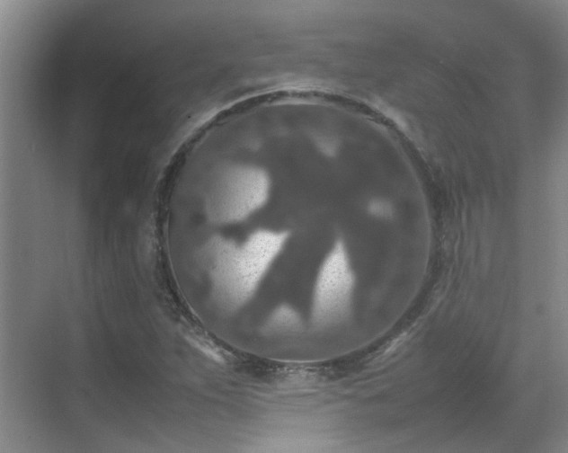 X0000070411263200606121320